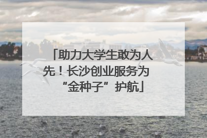 助力大学生敢为人先！长沙创业服务为“金种子”护航