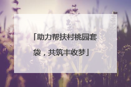 助力帮扶村桃园套袋，共筑丰收梦