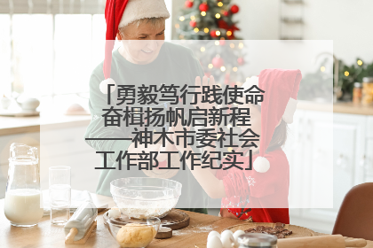 勇毅笃行践使命 奋楫扬帆启新程——神木市委社会工作部工作纪实