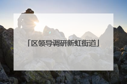 区领导调研新虹街道