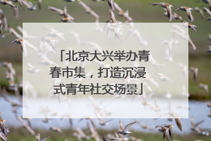 北京大兴举办青春市集，打造沉浸式青年社交场景