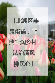 北湖区燕泉街道：“典”润乡村 法治清风拂民心