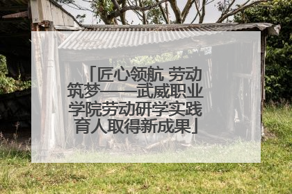 匠心领航 劳动筑梦——武威职业学院劳动研学实践育人取得新成果
