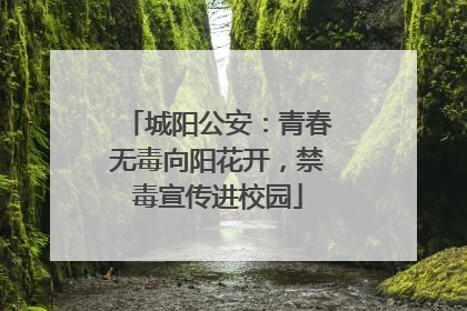 城阳公安：青春无毒向阳花开，禁毒宣传进校园