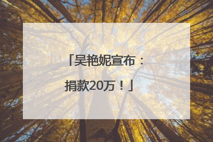 吴艳妮宣布：捐款20万！