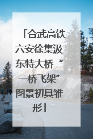 合武高铁六安徐集汲东特大桥“一桥飞架”图景初具雏形