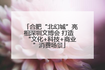 合肥“北幻城”亮相深圳文博会 打造“文化+科技+商业”消费场景
