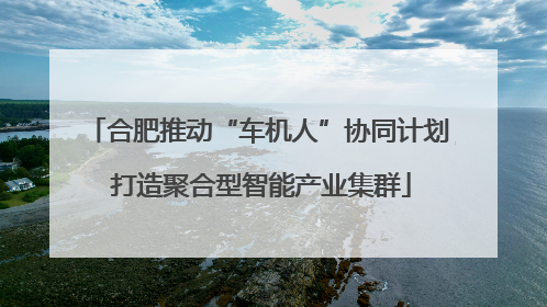 合肥推动“车机人”协同计划 打造聚合型智能产业集群