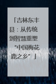 吉林东丰县：从传统到智慧重塑“中国梅花鹿之乡”