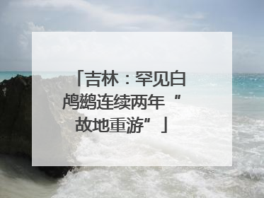 吉林：罕见白鸬鹚连续两年“故地重游”