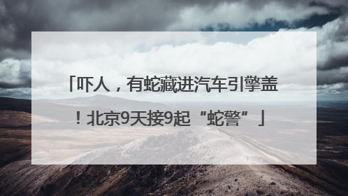 吓人，有蛇藏进汽车引擎盖！北京9天接9起“蛇警”