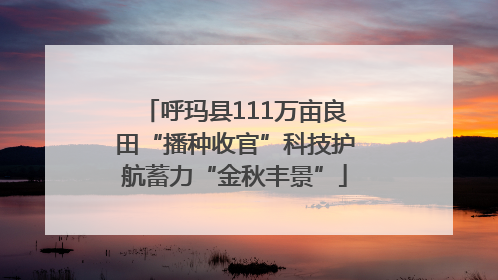 呼玛县111万亩良田“播种收官”科技护航蓄力“金秋丰景”
