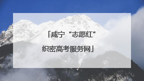 咸宁“志愿红”织密高考服务网