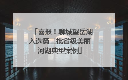 喜报！聊城望岳湖入选第二批省级美丽河湖典型案例