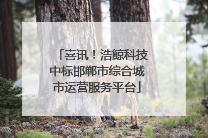 喜讯！浩鲸科技中标邯郸市综合城市运营服务平台