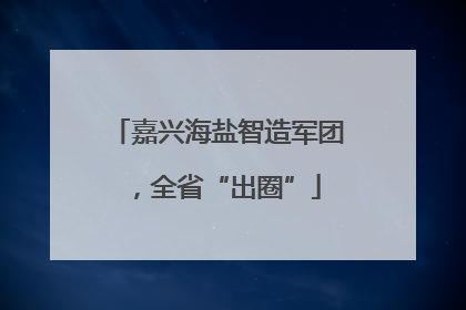 嘉兴海盐智造军团，全省“出圈”