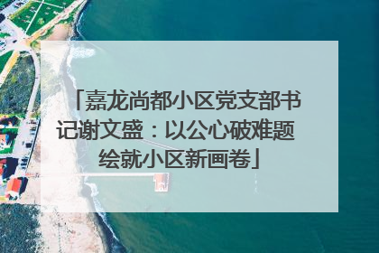 嘉龙尚都小区党支部书记谢文盛：以公心破难题 绘就小区新画卷