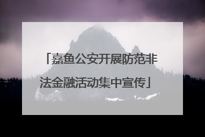 嘉鱼公安开展防范非法金融活动集中宣传