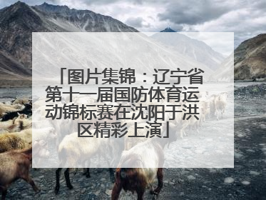 图片集锦：辽宁省第十一届国防体育运动锦标赛在沈阳于洪区精彩上演
