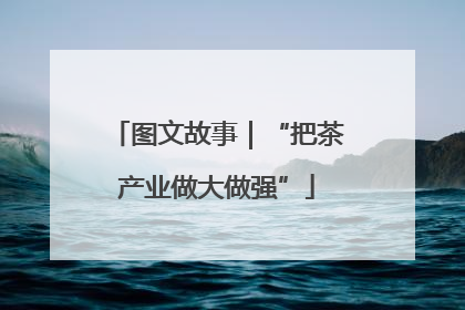 图文故事｜“把茶产业做大做强”