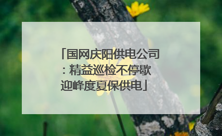 国网庆阳供电公司：精益巡检不停歇 迎峰度夏保供电