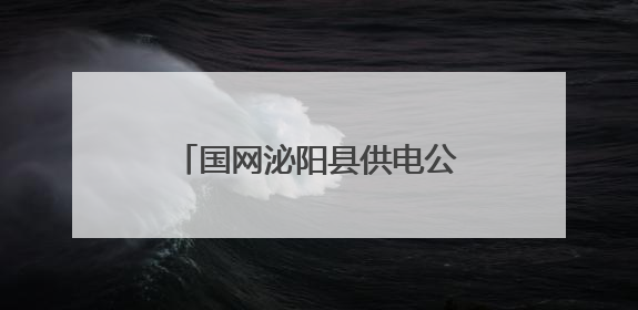 国网泌阳县供电公司闻“汛”出击