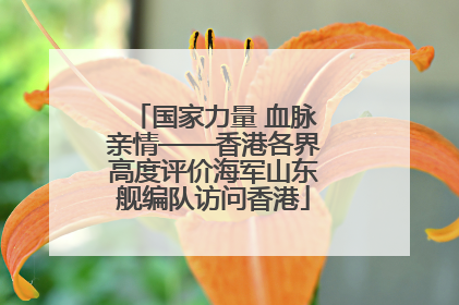 国家力量 血脉亲情——香港各界高度评价海军山东舰编队访问香港