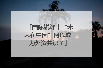 国际锐评丨“未来在中国”何以成为外资共识？