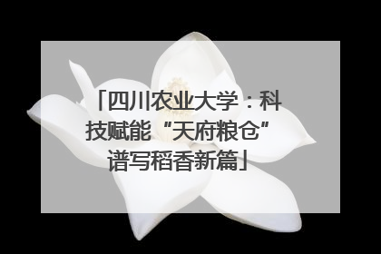 四川农业大学：科技赋能“天府粮仓”谱写稻香新篇