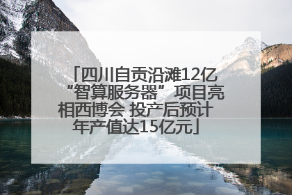 四川自贡沿滩12亿“智算服务器”项目亮相西博会 投产后预计年产值达15亿元