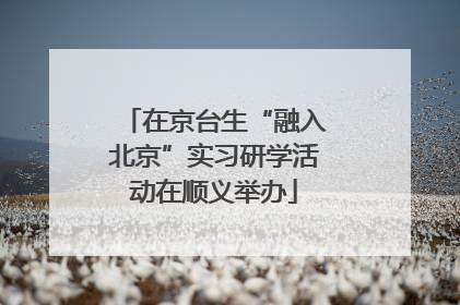 在京台生“融入北京”实习研学活动在顺义举办