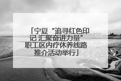 宁夏“追寻红色印记 汇聚奋进力量”职工区内疗休养线路推介活动举行