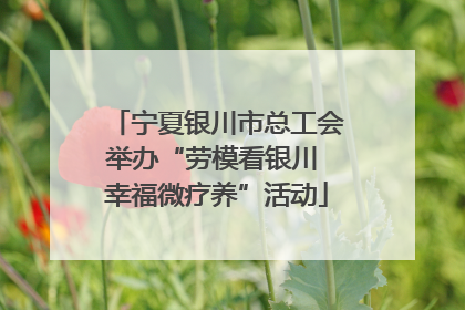 宁夏银川市总工会举办“劳模看银川 幸福微疗养”活动