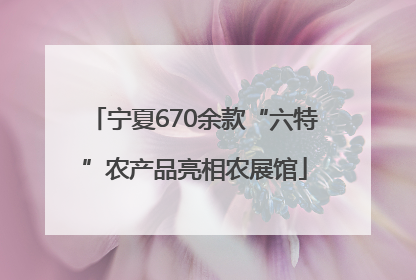 宁夏670余款“六特”农产品亮相农展馆