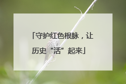 守护红色根脉，让历史“活”起来