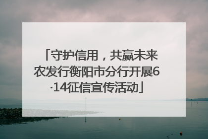 守护信用，共赢未来 农发行衡阳市分行开展6·14征信宣传活动