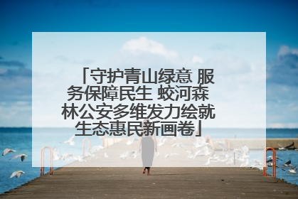 守护青山绿意 服务保障民生 蛟河森林公安多维发力绘就生态惠民新画卷