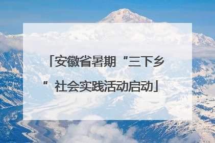 安徽省暑期“三下乡”社会实践活动启动