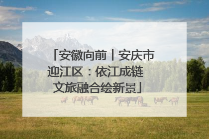 安徽向前丨安庆市迎江区：依江成链 文旅融合绘新景