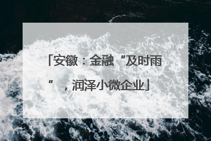 安徽：金融“及时雨”，润泽小微企业