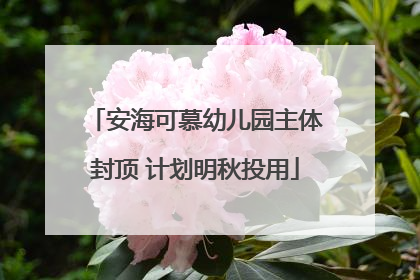 安海可慕幼儿园主体封顶 计划明秋投用