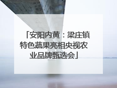 安阳内黄：梁庄镇特色蔬果亮相央视农业品牌甄选会