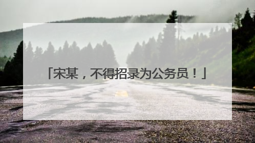 宋某，不得招录为公务员！