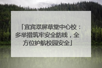 宜宾翠屏草堂中心校：多举措筑牢安全防线，全方位护航校园安全