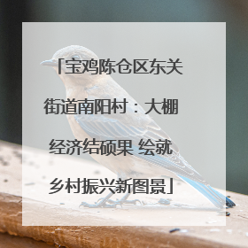 宝鸡陈仓区东关街道南阳村：大棚经济结硕果 绘就乡村振兴新图景