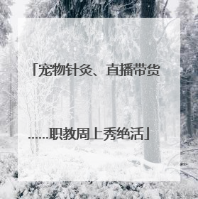 宠物针灸、直播带货……职教周上秀绝活