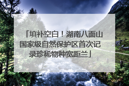 填补空白！湖南八面山国家级自然保护区首次记录珍稀物种宽距兰