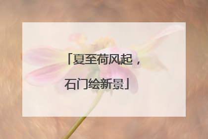 夏至荷风起，石门绘新景