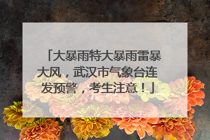 大暴雨特大暴雨雷暴大风，武汉市气象台连发预警，考生注意！
