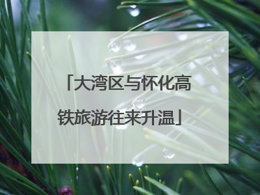 大湾区与怀化高铁旅游往来升温